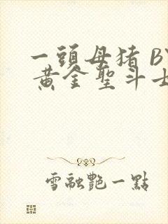 一头母猪 BY 黄金圣斗士