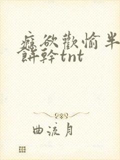 瘾欲欢愉半块小饼干tnt