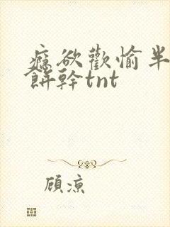 瘾欲欢愉半块小饼干tnt