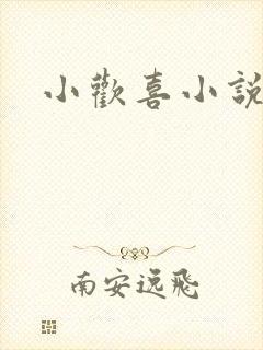 小欢喜小说