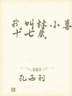 我叫林小喜今年十七岁