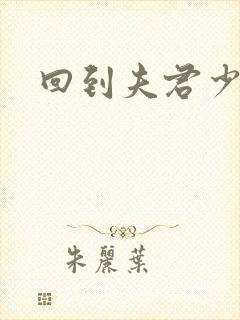 回到夫君少年时