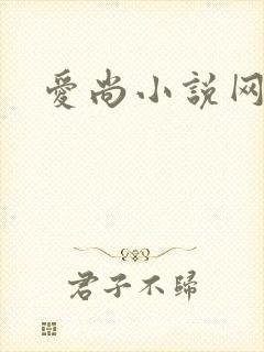爱尚小说网