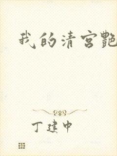 我的清宫艳史