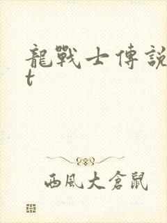 龙战士传说txt