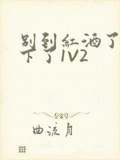 别到红酒了装不下了1V2