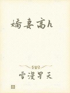 娇妻高h
