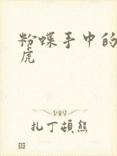 粉蝶手中的纸老虎