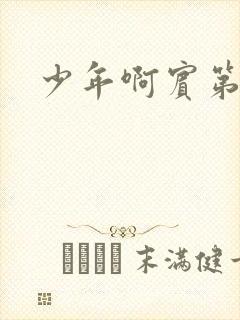 少年啊宾第二部