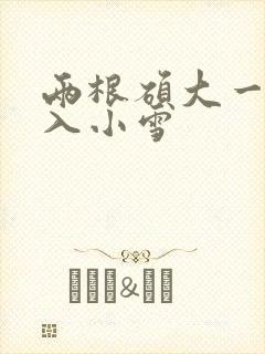 两根硕大一起挤入小雪