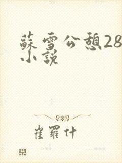 苏雪公憩28篇小说