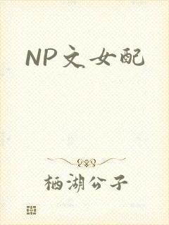 NP文女配