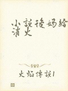 小说后妈给我消消火