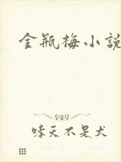 金瓶梅小说下载