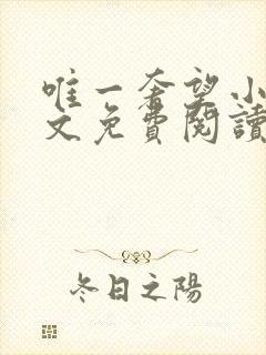 唯一奢望小说全文免费阅读