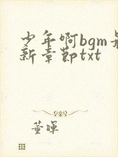 少年啊bgm最新章节txt