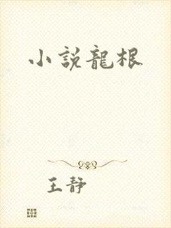 小说龙根