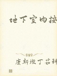 地下室肉按摩椅