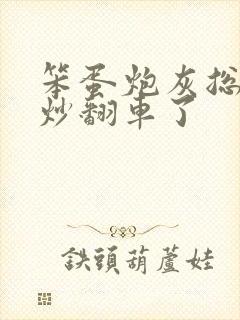 笨蛋炮灰总被爆炒翻车了