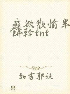 瘾欲欢愉半块小饼干tnt