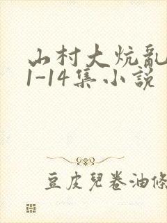 山村大炕乱肉续1-14集小说