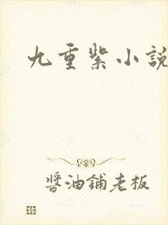 九重紫小说