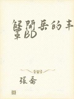 解开岳的丰满奶罩BD