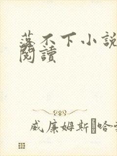 落不下小说免费阅读