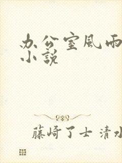 办公室风雨完整小说