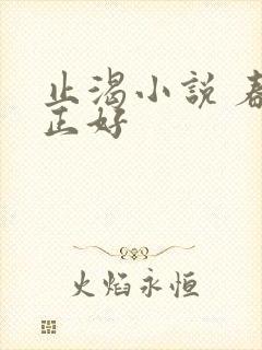 止渴小说 春光正好