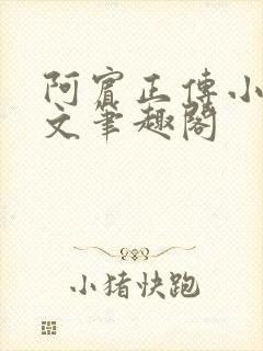 阿宾正传小说全文笔趣阁