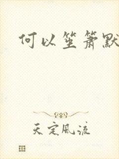 何以笙箫默小说