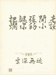 把腿张开老子臊烂你的小说