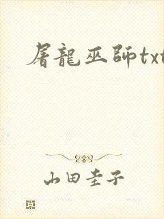 屠龙巫师txt