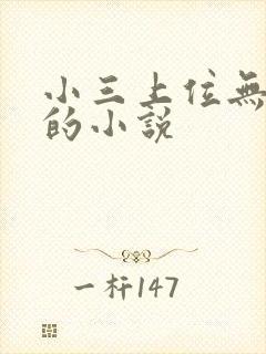 小三上位无三观的小说