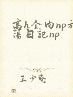 高h全肉np放荡日记np