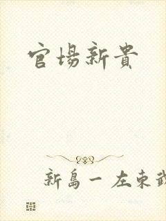 官场新贵