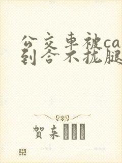 公交车被cao到合不拢腿视频