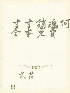 寸寸销魂何生祥全本免费