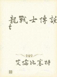 龙战士传说txt