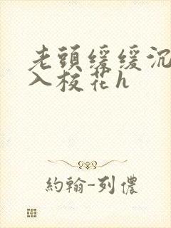 老头缓缓沉腰进入校花h