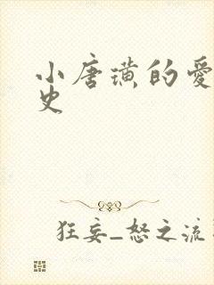 小唐璜的爱情历史