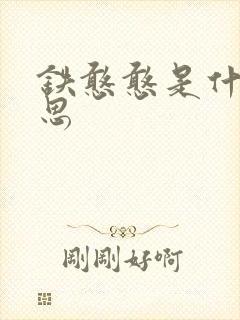 铁憨憨是什么意思