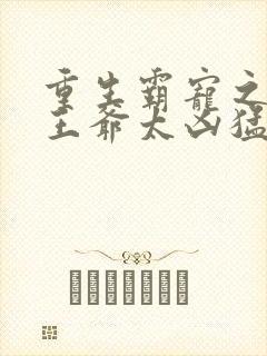 重生霸宠之摄政王爷太凶猛