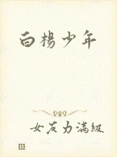 白杨少年