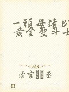 一头母猪 BY 黄金圣斗士