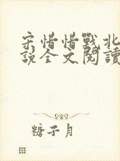 宋惜惜战北望小说全文阅读