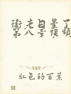 卫老日晕了淑蓉第八章视频