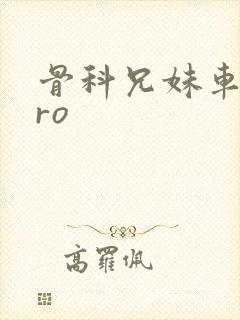 骨科兄妹车多pro