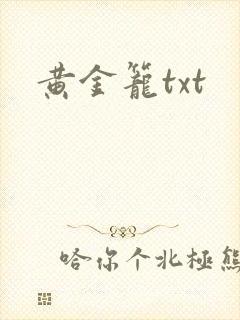 黄金笼txt